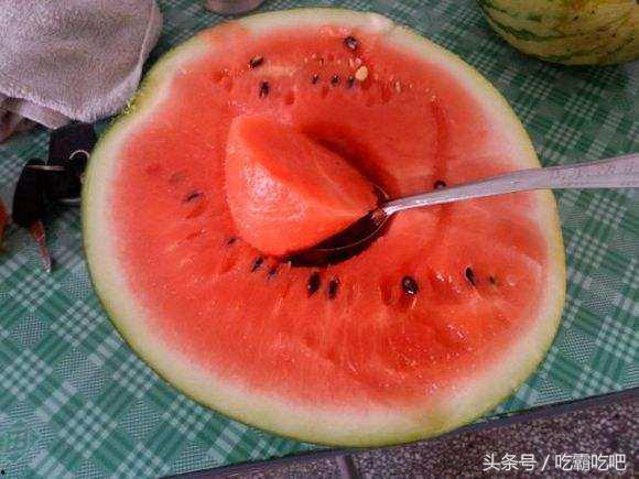 吃瓜网在哪下,吃瓜网在哪下，带你轻松追踪热门资讯