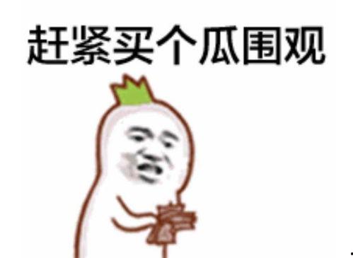 会员表情吃瓜,揭秘会员圈层里的趣味互动