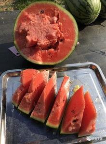 洗脚网红吃瓜,揭秘网络红人的另一面