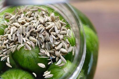 吃整根小瓜,探寻整根小瓜的独特魅力