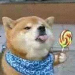 吃瓜狗头表情男生,吃瓜狗头表情下的男生风采