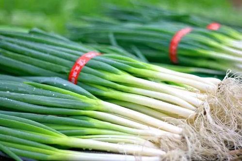 不是养蚕人 吃瓜,品鉴夏日瓜果盛宴