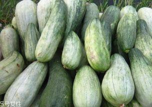 酥瓜苦怎么吃,酥瓜苦的多样食用攻略