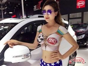 比亚迪吃瓜活动,揭秘新能源汽车市场的“瓜界风云”