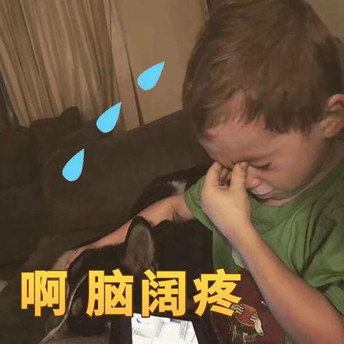 街头打架吃瓜图片搞笑,吃瓜群众笑翻！