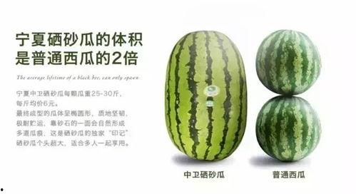 吃宁夏硒砂瓜,沙漠中的绿色宝石，滋养健康的甜蜜之源