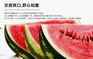 吃宁夏硒砂瓜,沙漠中的绿色宝石，滋养健康的甜蜜之源