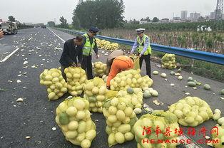湖北公安吃瓜,揭秘背后真相与网络舆论风暴
