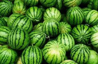 瓜吃瓜,揭秘“吃瓜群众”背后的社会现象