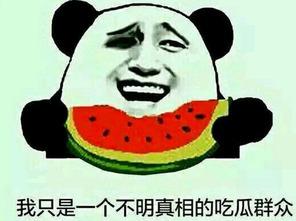 岳明辉吃瓜群众,吃瓜群众的视角解读娱乐圈风云