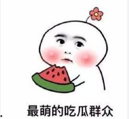 岳明辉吃瓜群众,吃瓜群众的视角解读娱乐圈风云