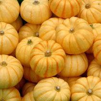 緑桔瓜怎么吃,探索美味与营养的完美结合