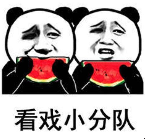 吃瓜没吃到表情包,揭秘那些错过的表情包风云