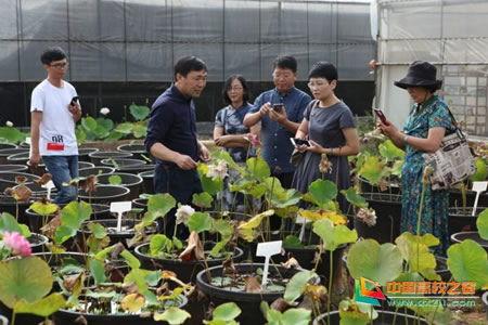 西南林业吃瓜,吃瓜群众的欢乐盛宴