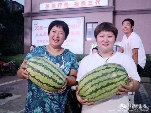 换照片吃瓜,揭秘娱乐圈背后的秘密