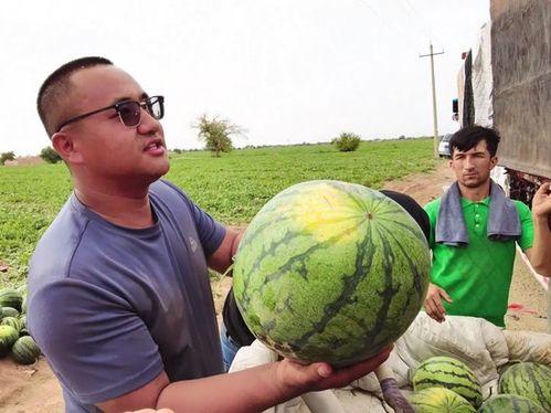 换照片吃瓜,揭秘娱乐圈背后的秘密