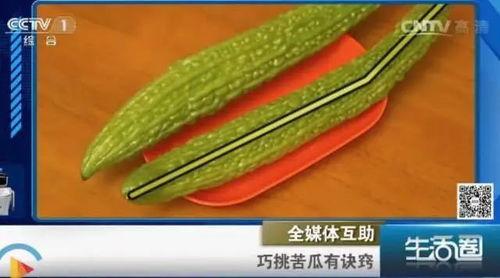吃小瓜嘴苦,揭秘夏日消暑美食背后的苦涩真相