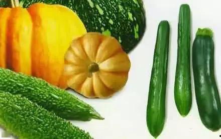 马屁瓜可以吃吗,美味还是禁忌？探究其可食用性之谜