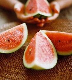 花下吃瓜,品味人生百态